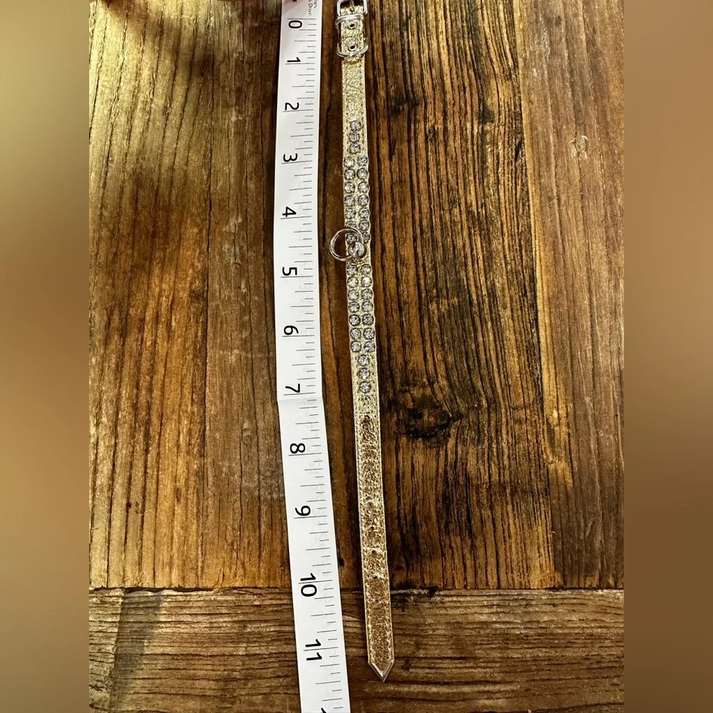 Stylish gold with Chrystal Dog Collar